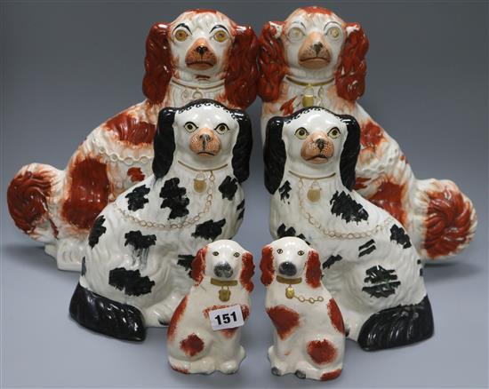 Three pairs of Staffordshire dogs tallest 31cm